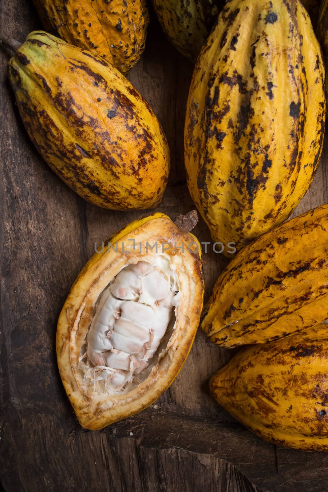 Cacao fruit, raw cacao beans, Cocoa pod on wooden background by kaiskynet