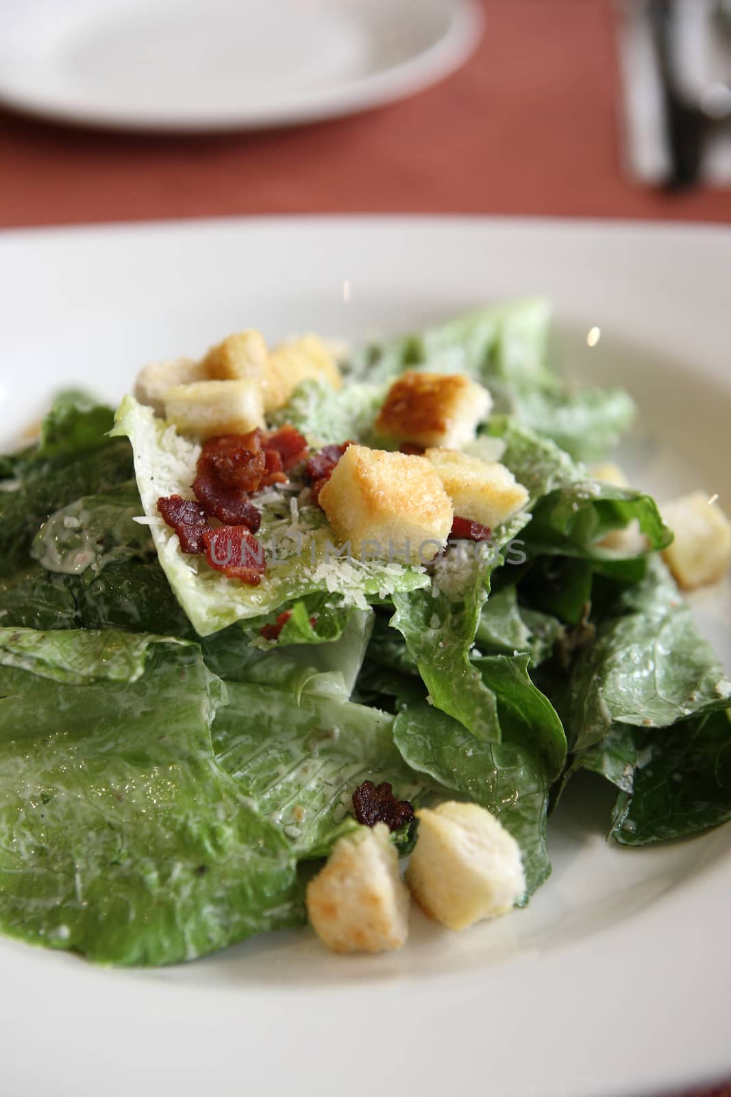 Caesar salad in close up