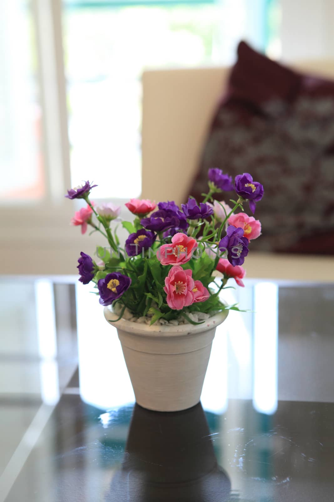 Purple flower in jar
