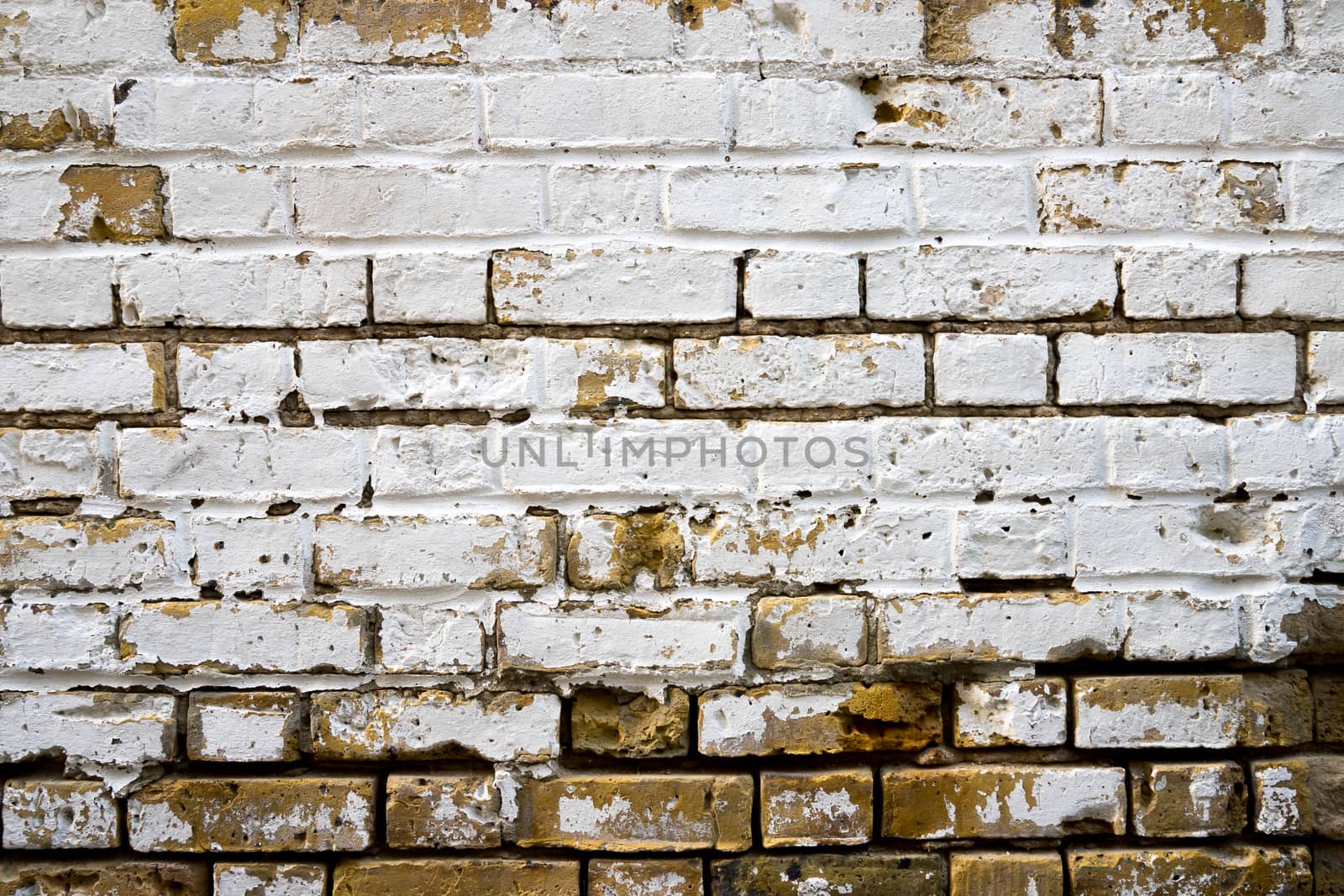 dirty brick wall, grungy red, white & grey texture background by Alicephoto