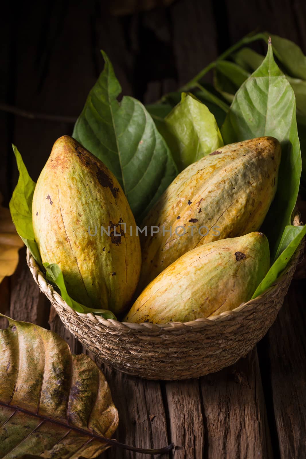 Cacao fruit, raw cacao beans, Cocoa pod on wooden background. by kaiskynet