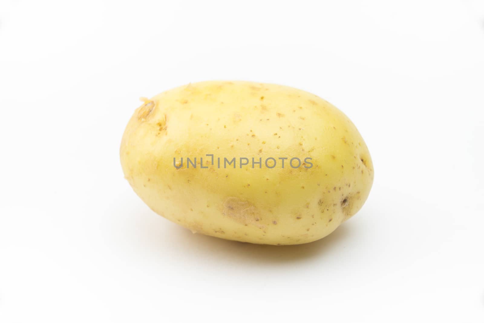 Potato on the white background