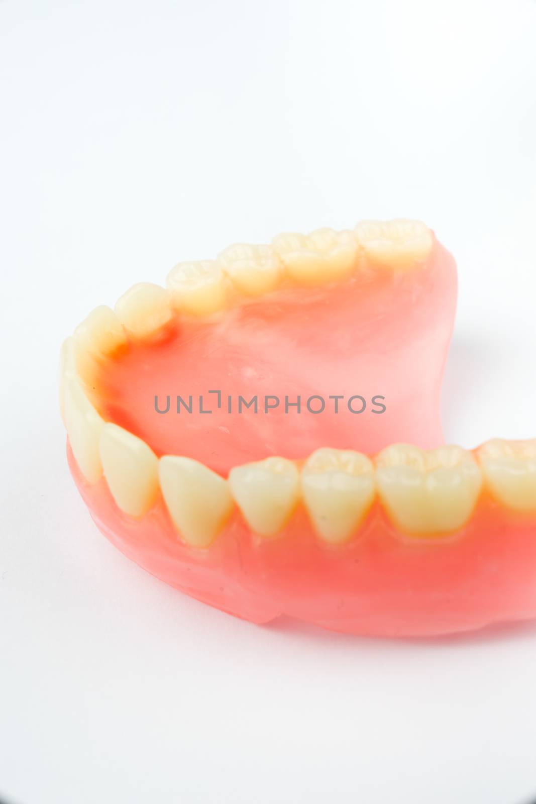 Denture for dental concept on white background by Alicephoto