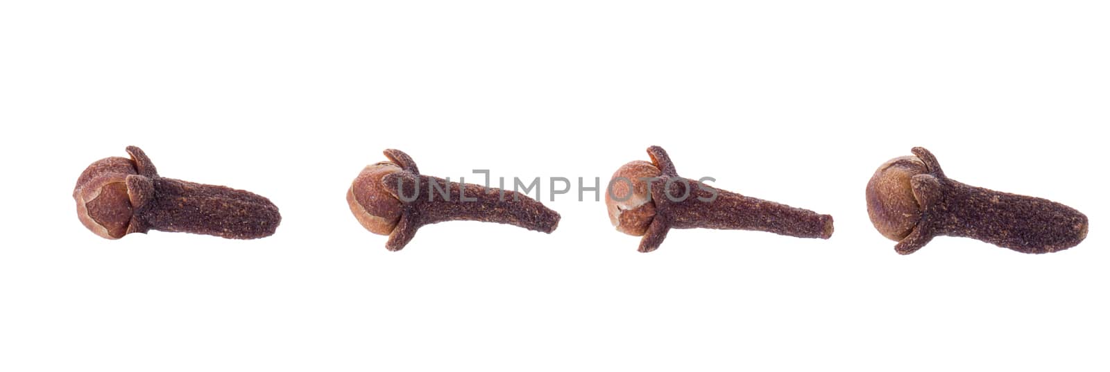 Clove spice closeup isolated on a white background by kaiskynet