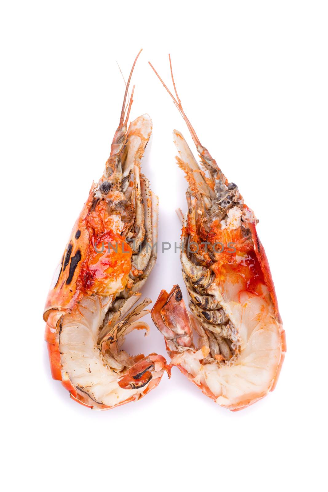 grilled giant river prawn with yellow creamy fat on head by kaiskynet