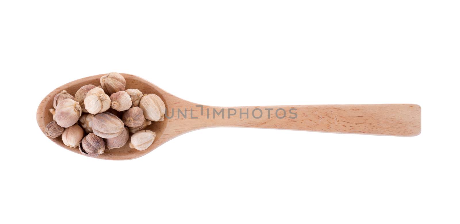 Cardamom in a wooden spoon isolated on a white background.