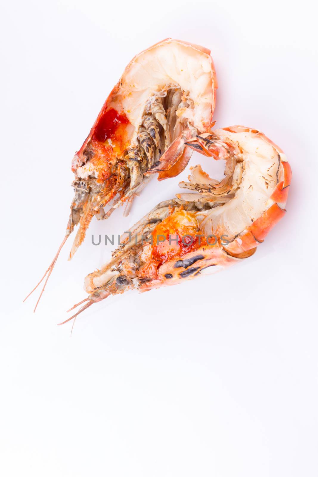 grilled giant river prawn with yellow creamy fat on head on a wh by kaiskynet