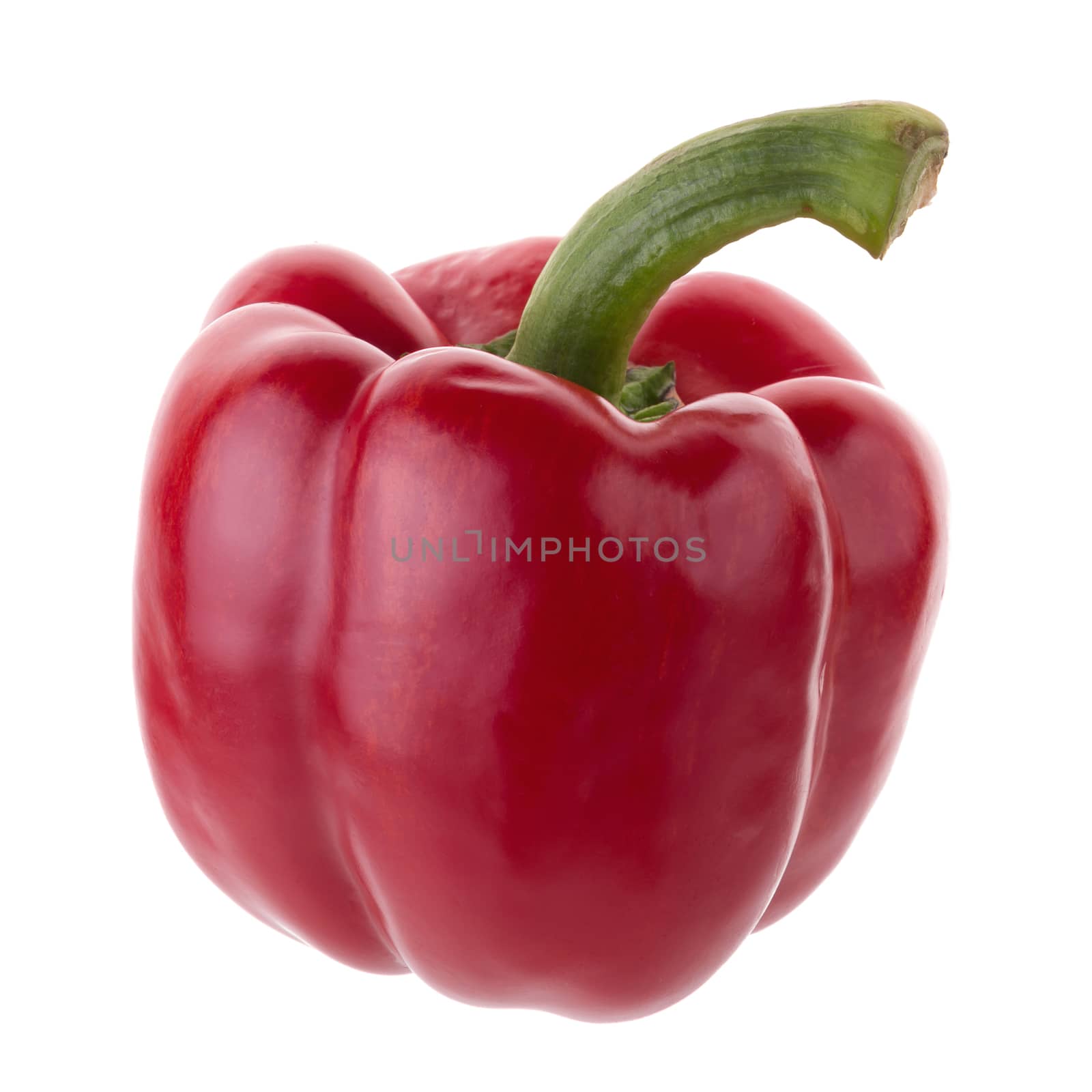 Red pepper shooted isolated on a white background.