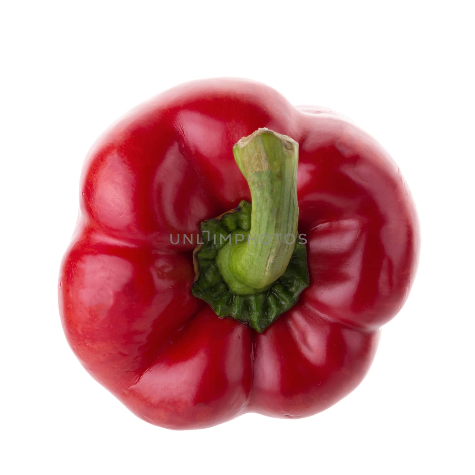 Red pepper shooted isolated on a white background by kaiskynet