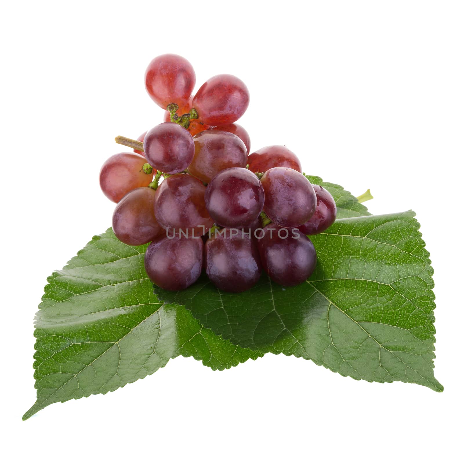 Red grapes isolated on over white background by kaiskynet