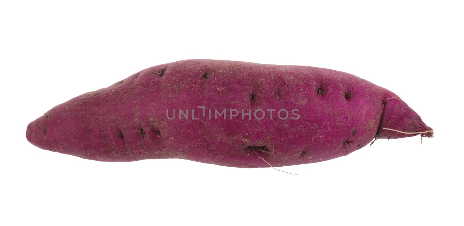 sweet potato isolated on over white background by kaiskynet