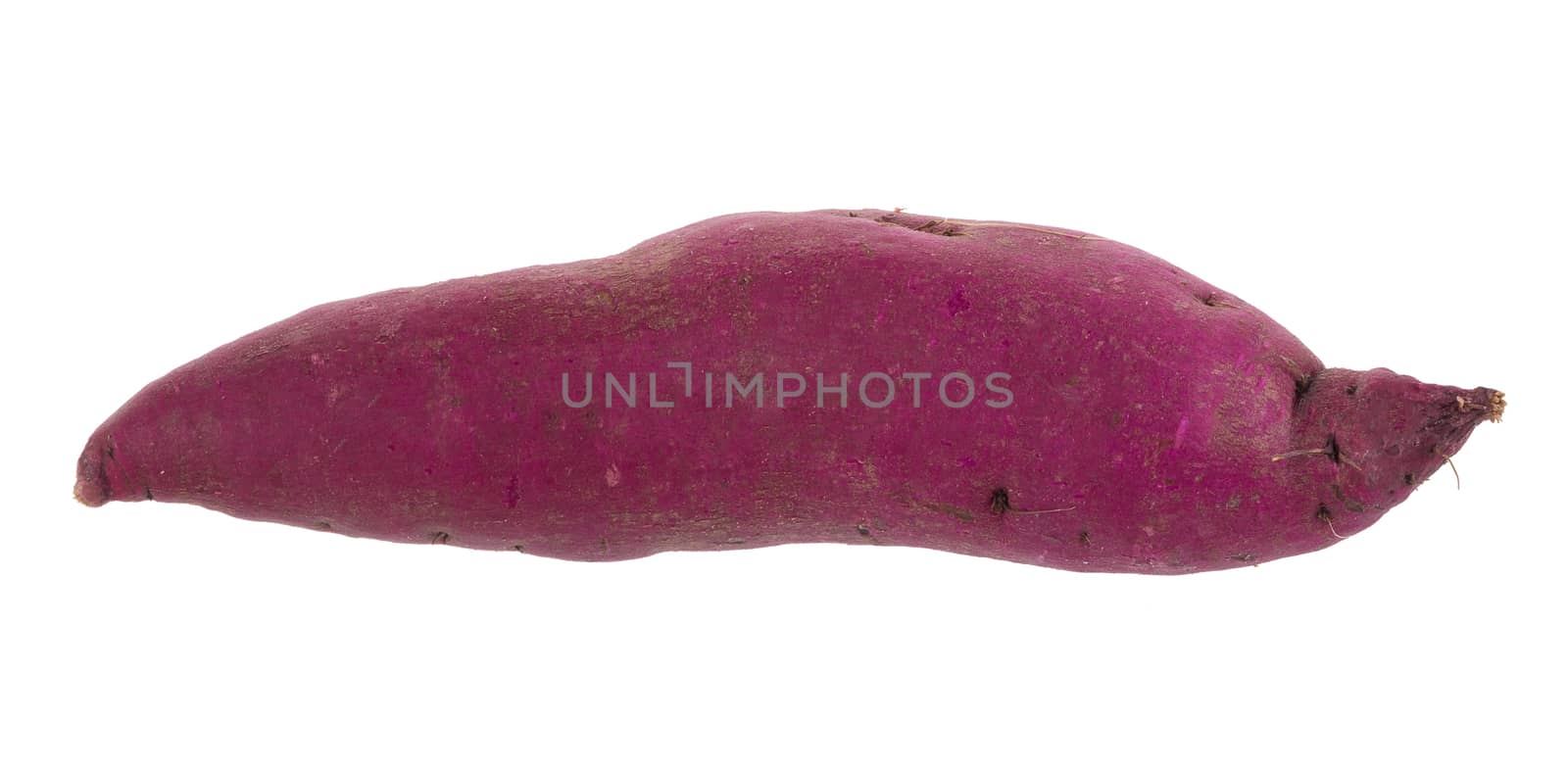 sweet potato isolated on over white background by kaiskynet