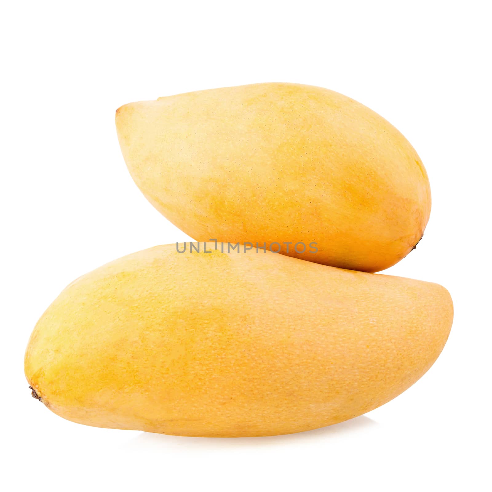 yellow mango fruit isolated on white background. by kaiskynet