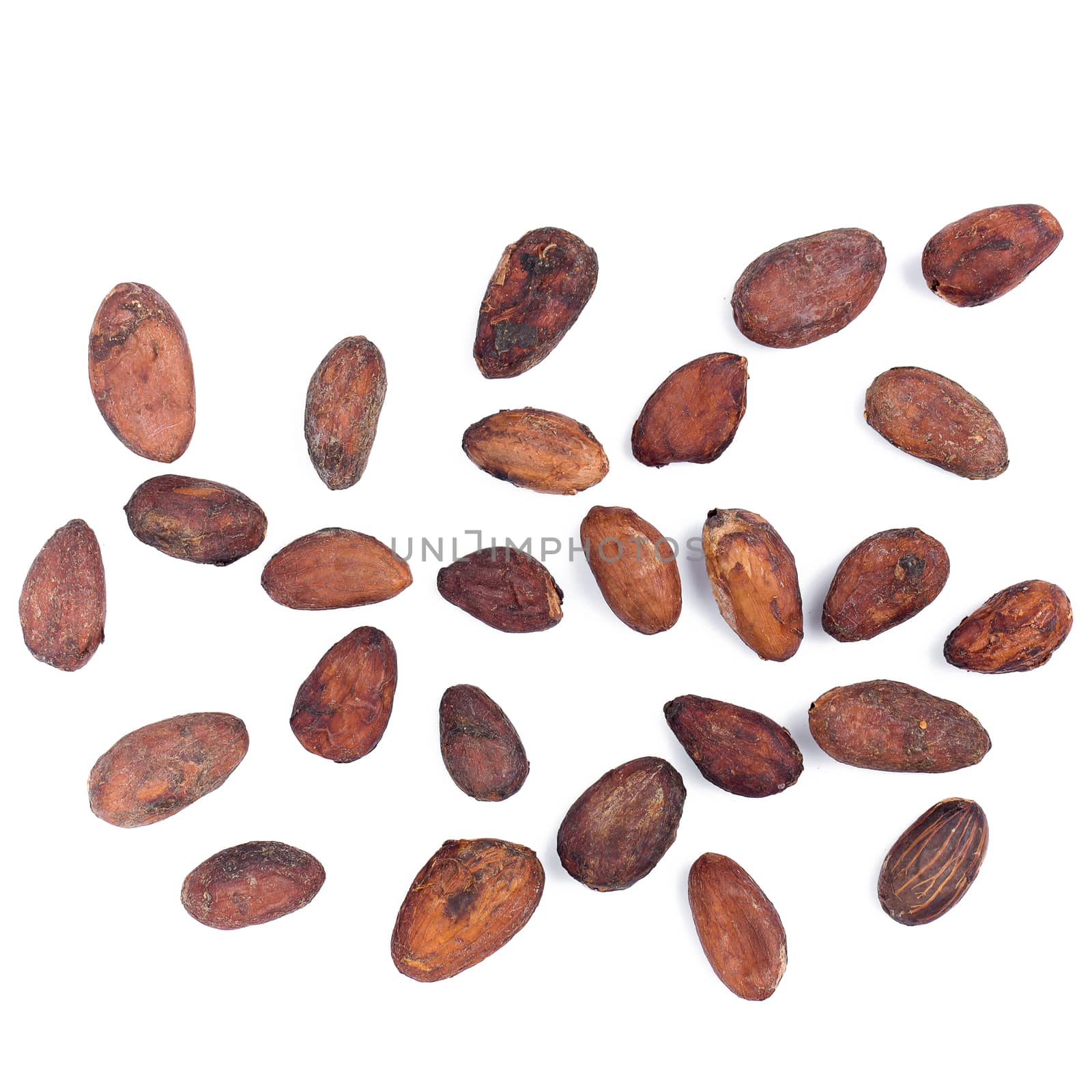 Cacao fruit, raw cacao beans, Cocoa pod isolated on white backgr by kaiskynet