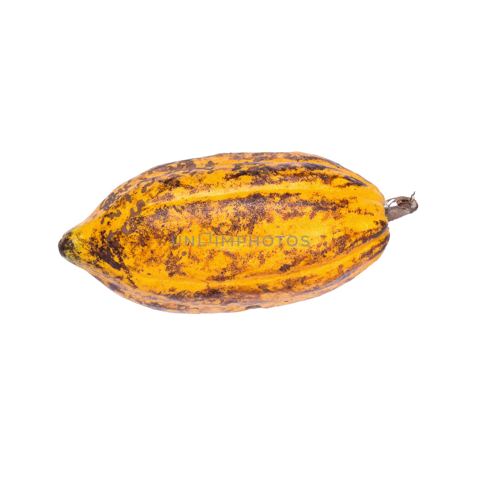 Cacao fruit, raw cacao beans, Cocoa pod isolated on white background.