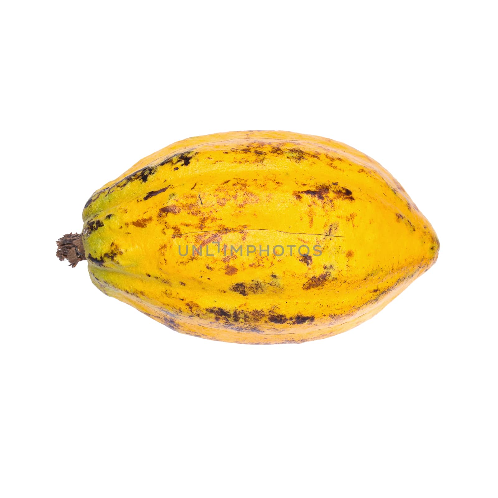 Cacao fruit, raw cacao beans, Cocoa pod isolated on white background.