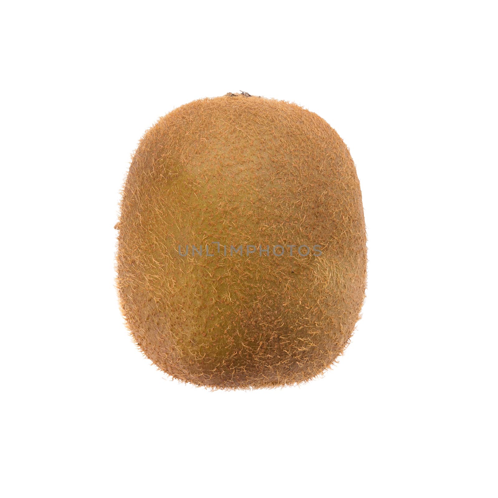 kiwi isolated on white background, top view by kaiskynet