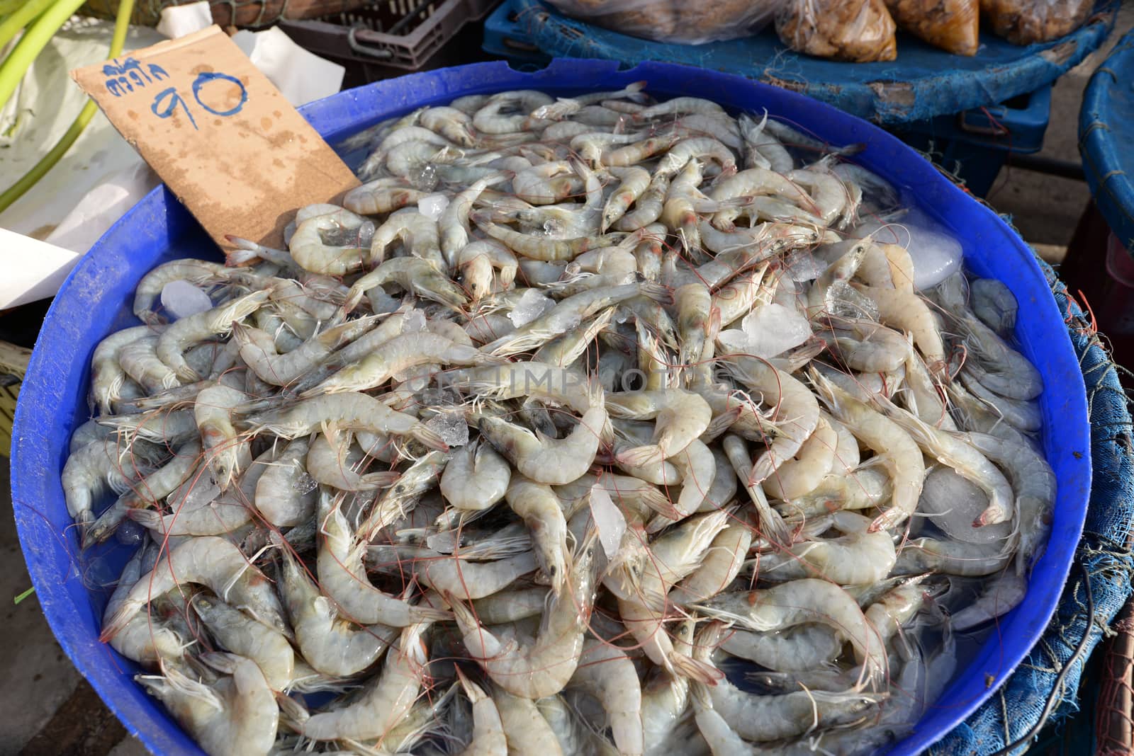 Pacific white shrimp with ice in thai market.