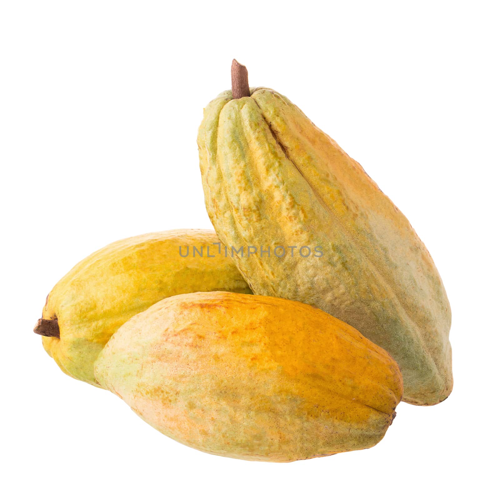 Cacao fruit, raw cacao beans, Cocoa pod on white background. by kaiskynet