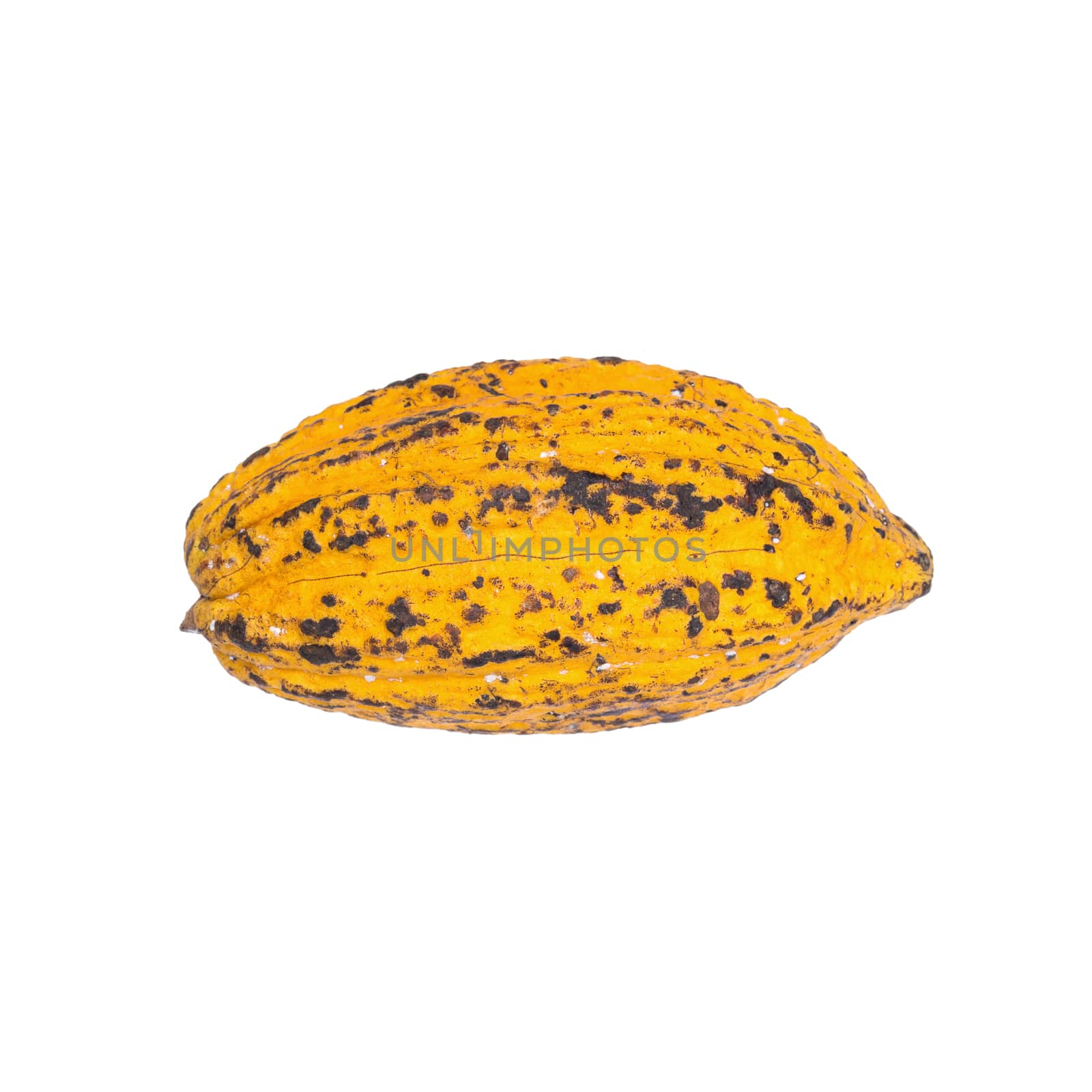 Cacao fruit, raw cacao beans, Cocoa pod isolated on white background.