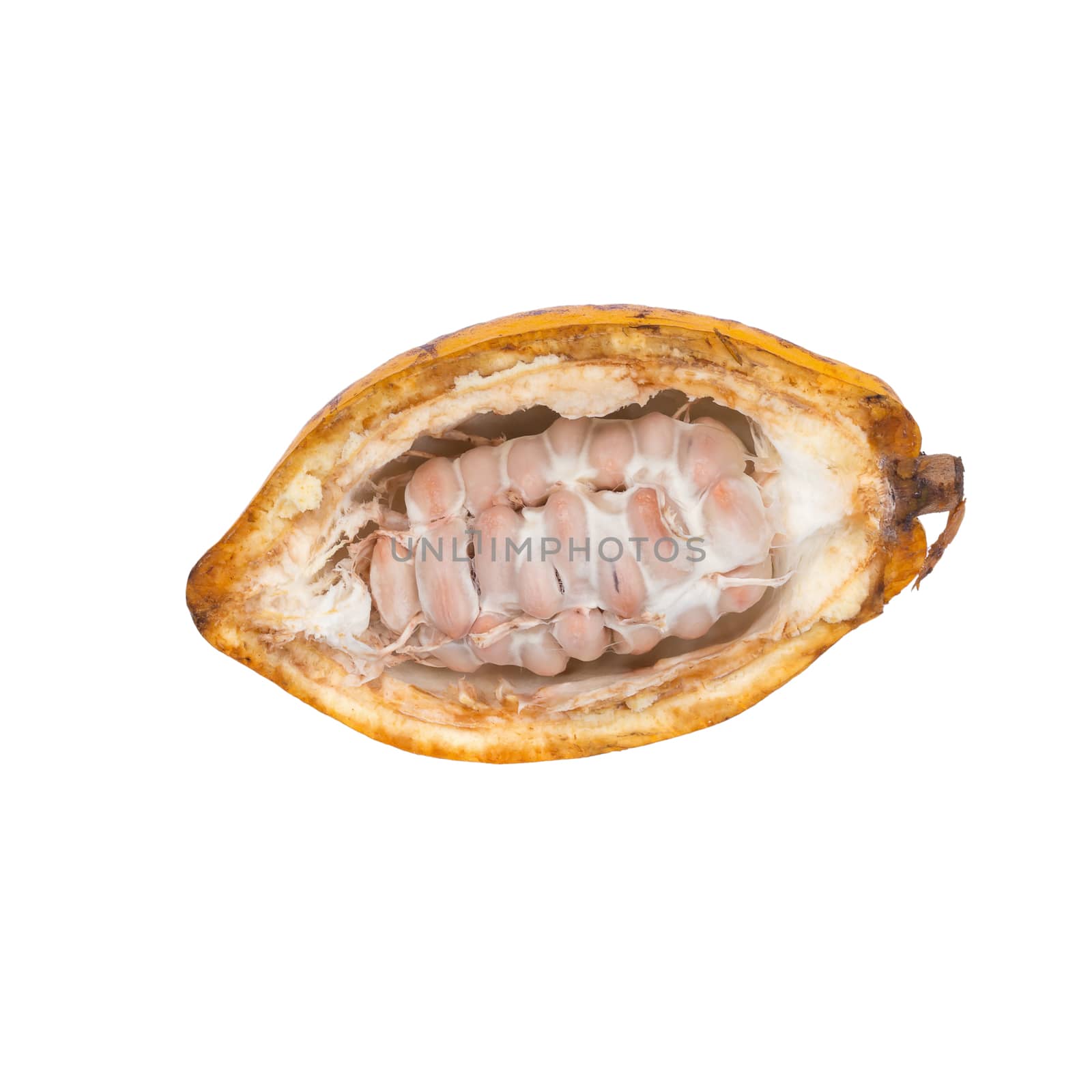 Cacao fruit, raw cacao beans, Cocoa pod isolated on white background.