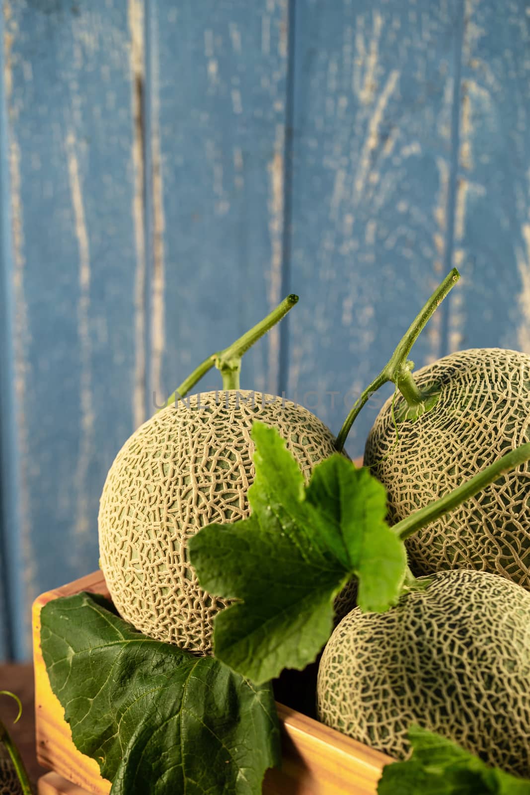 Close up cantaloupe melons in wooden box on wooden table by kaiskynet