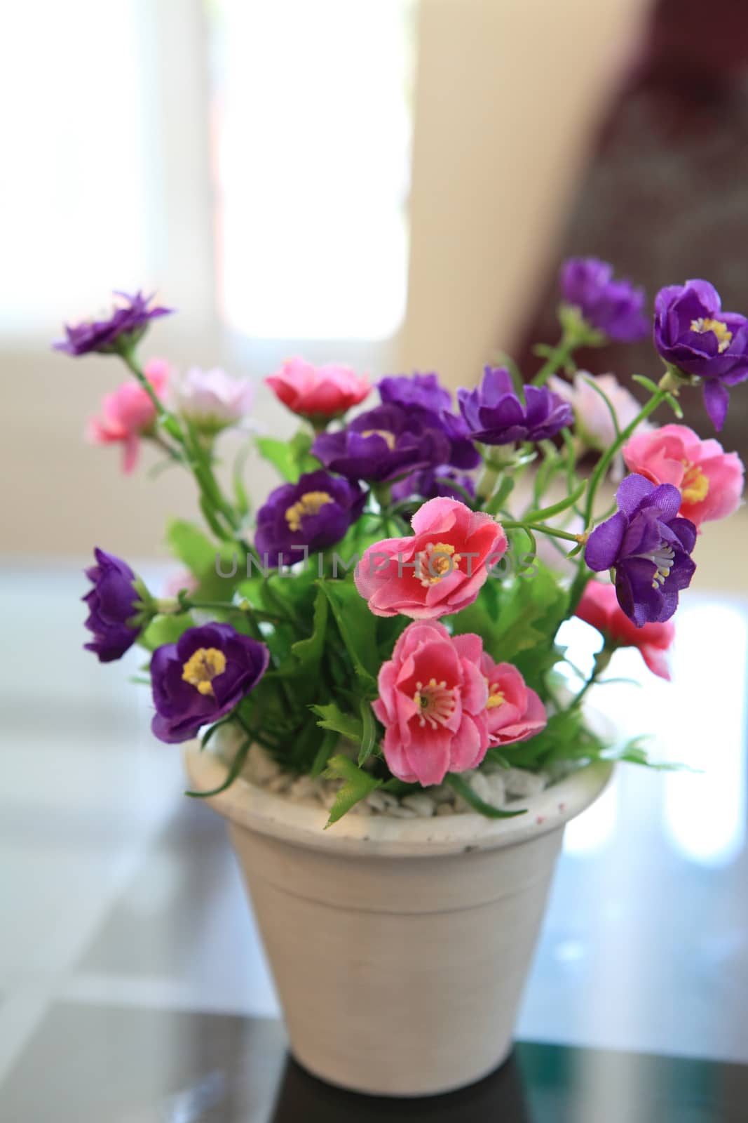 Purple flower in jar by piyato