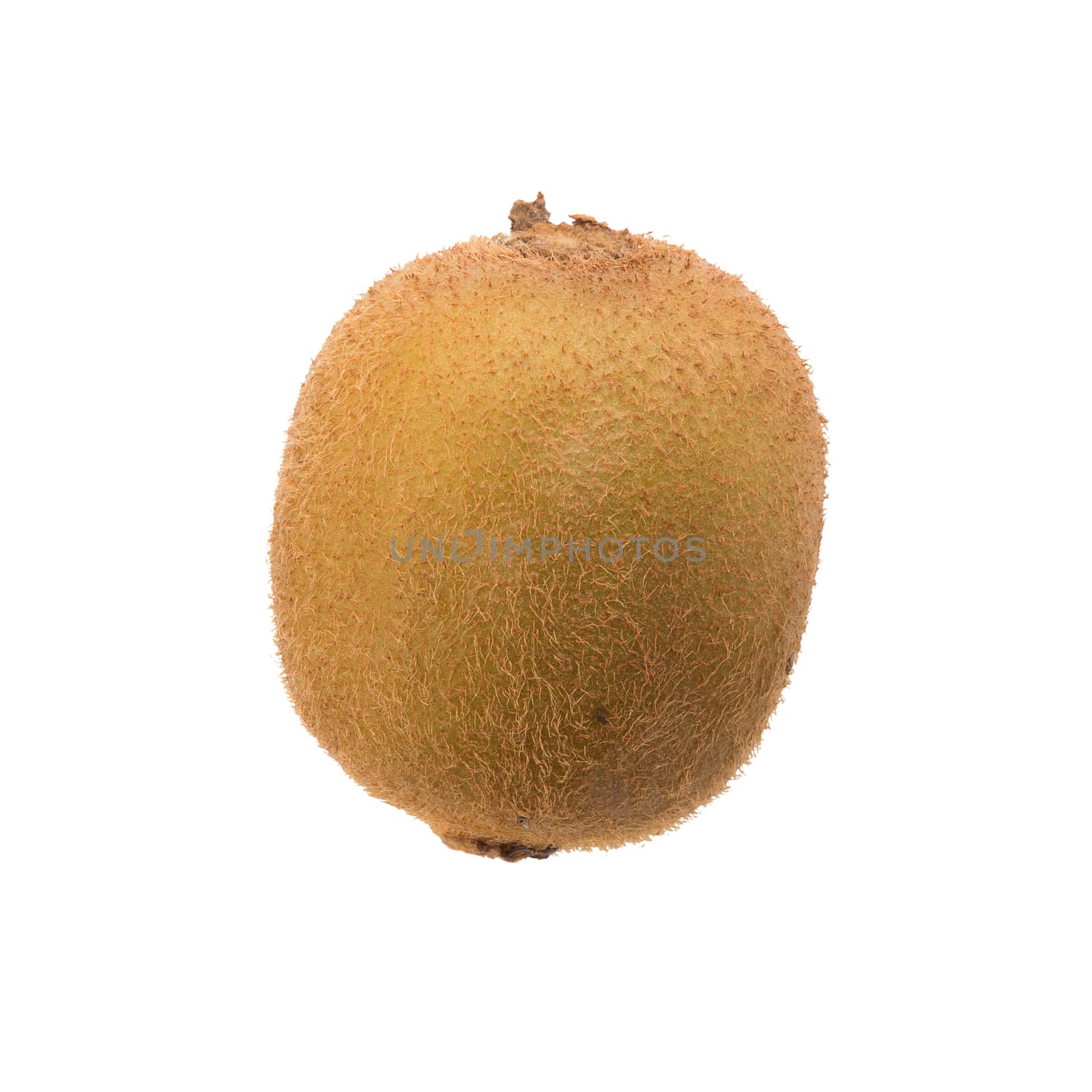 kiwi isolated on white background, top view by kaiskynet