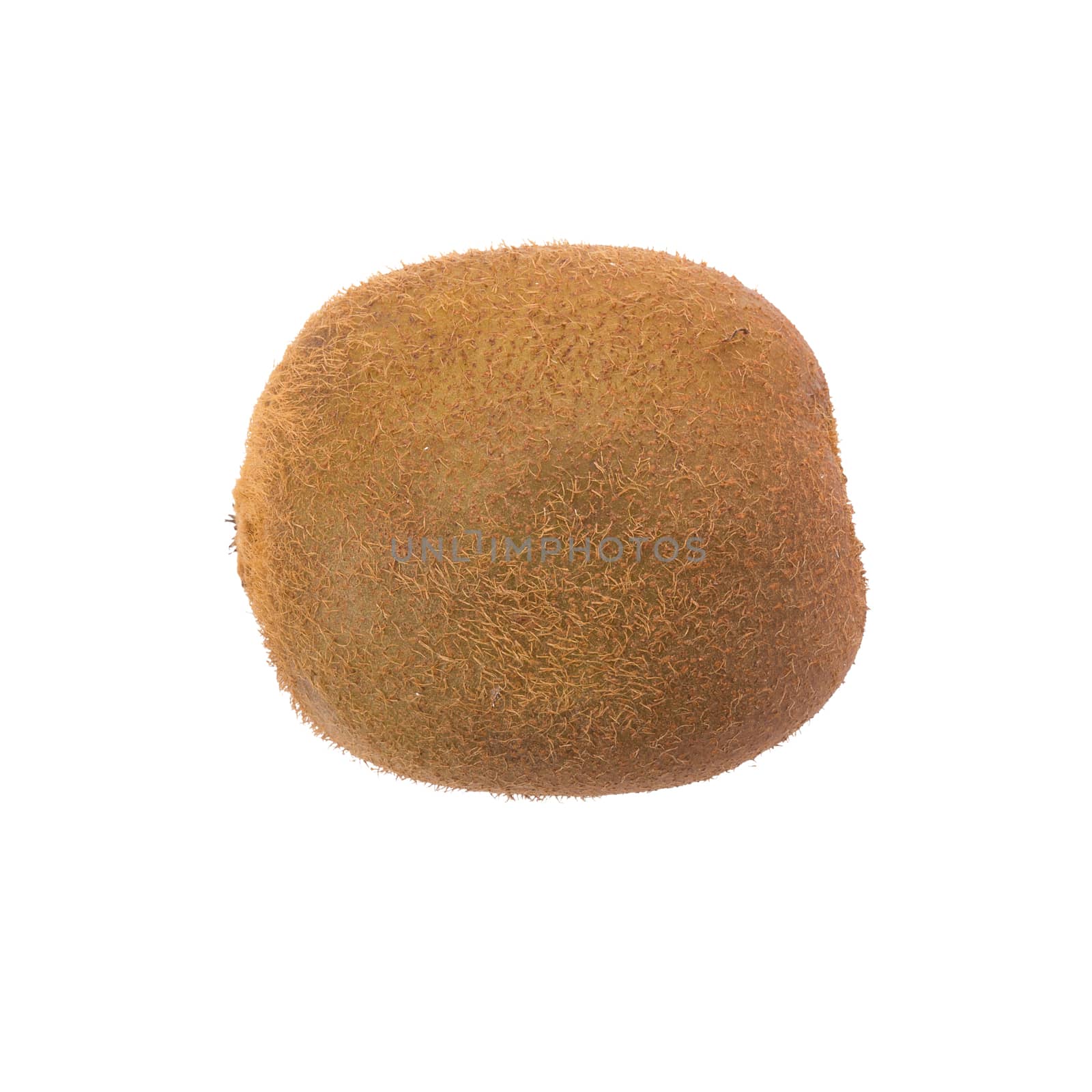 kiwi isolated on white background, top view.