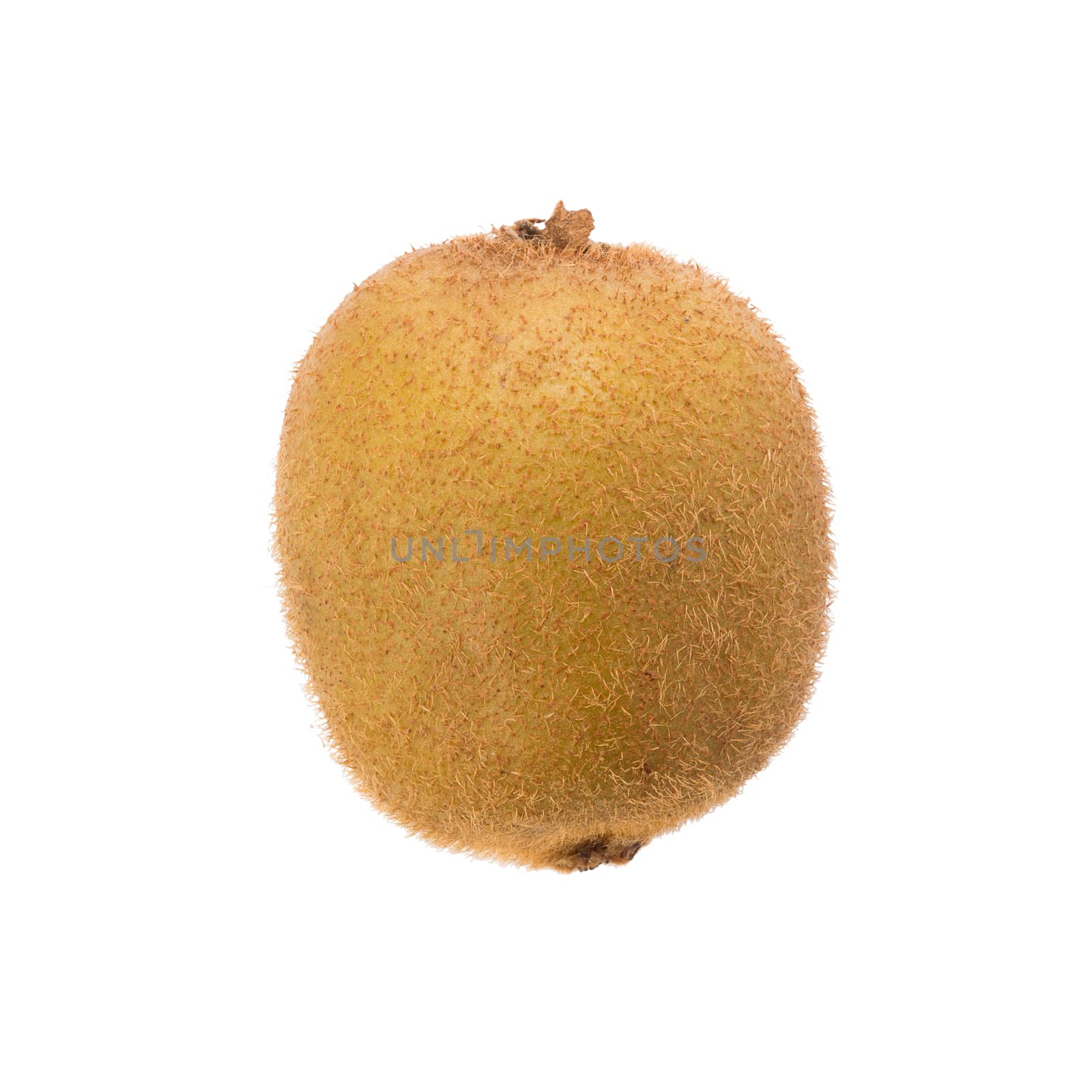 kiwi isolated on white background, top view.