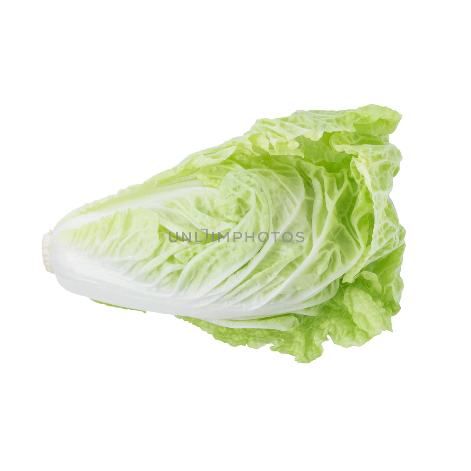 fresh chinese cabbage isolated on a white background by kaiskynet