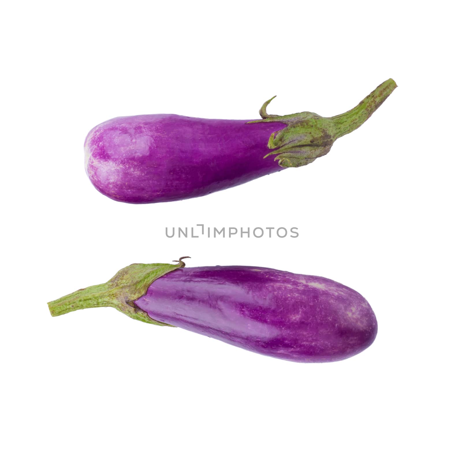 Eggplant or aubergine vegetable isolated on white background by kaiskynet