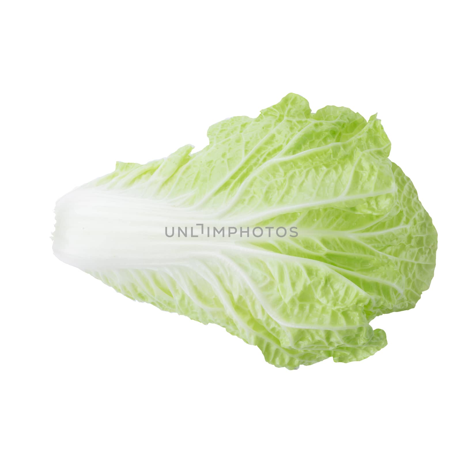 fresh chinese cabbage isolated on a white background.