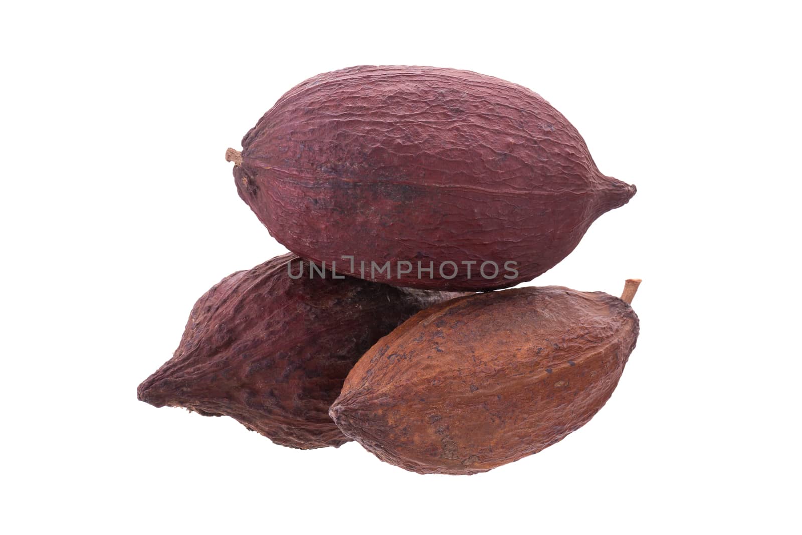 Cacao pods and beans isolated on white background.