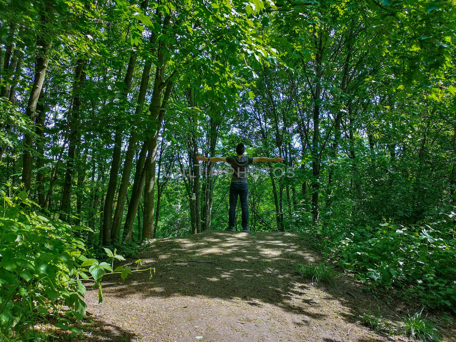 Man in t-shirt at edge of hill in park with thin trees by Wierzchu