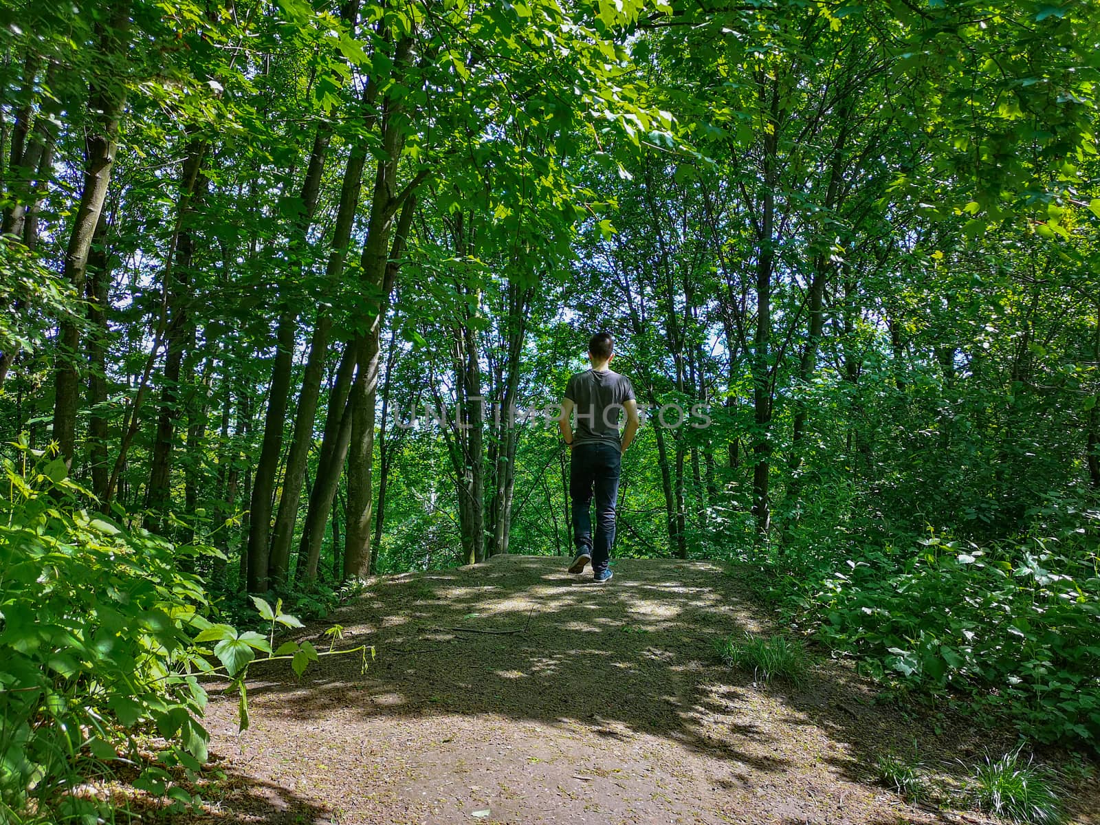 Man in t-shirt at edge of hill in park with thin trees by Wierzchu