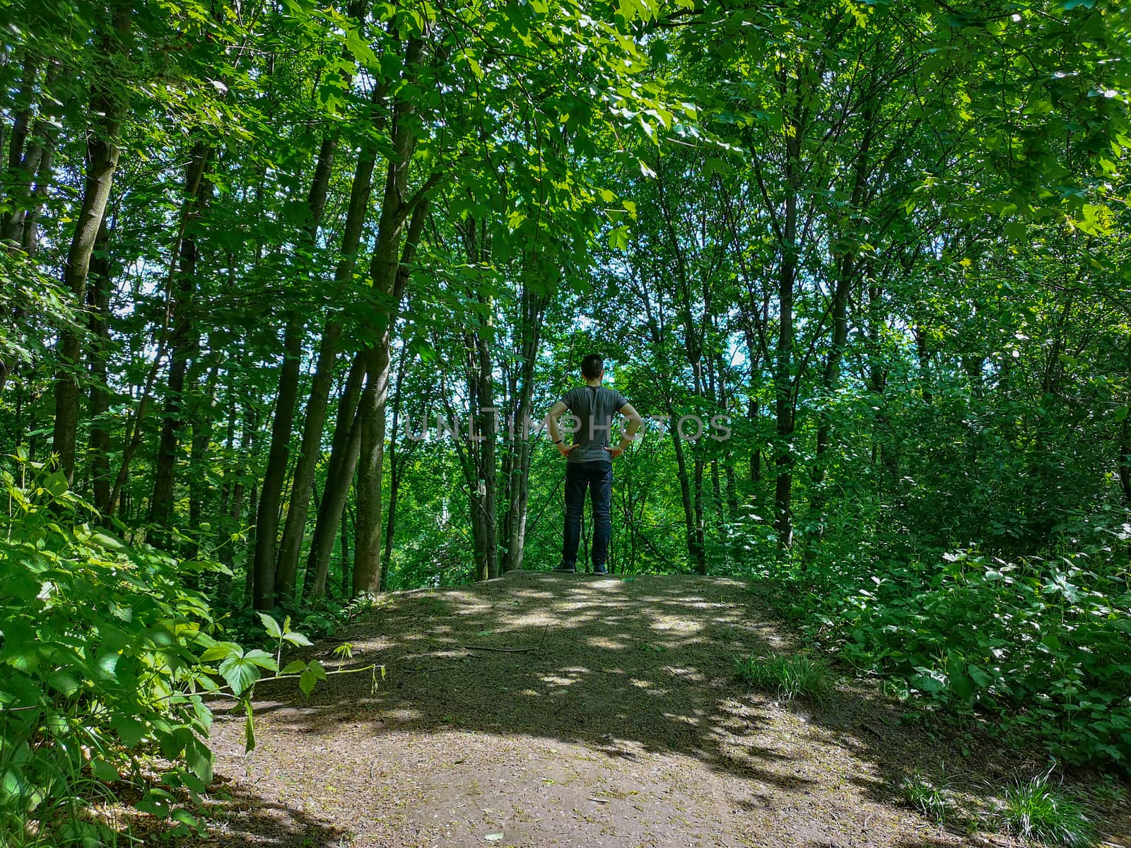 Man in t-shirt at edge of hill in park with thin trees by Wierzchu