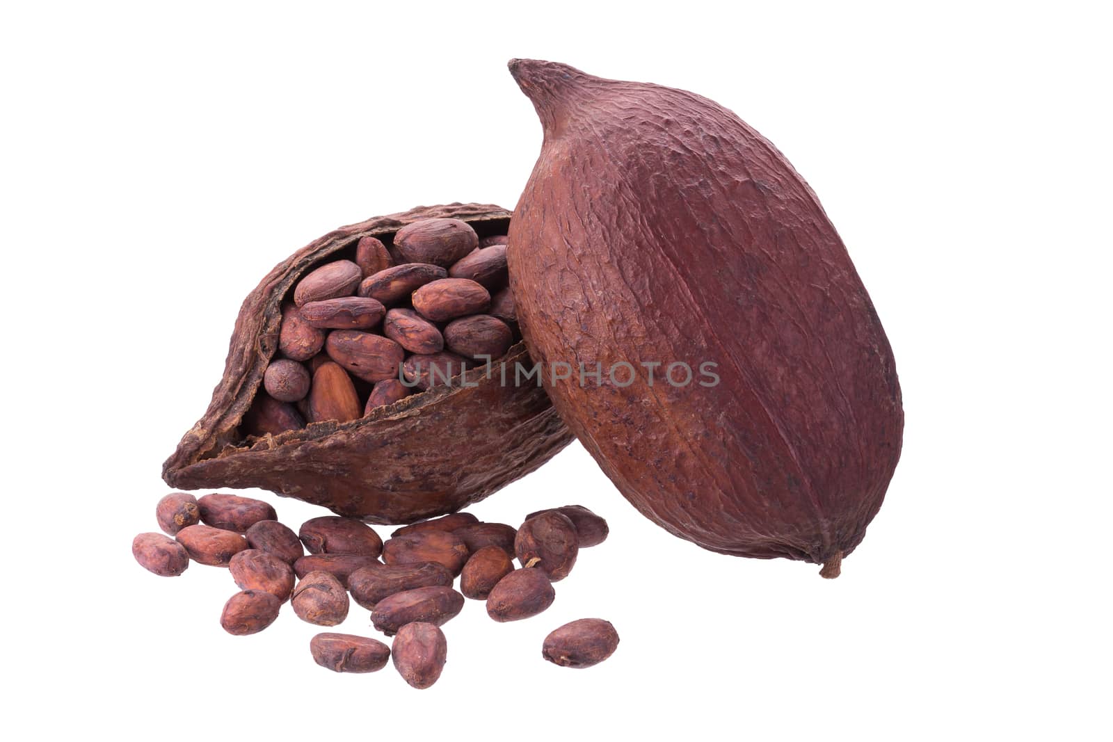 Cacao pods and beans isolated on white background.