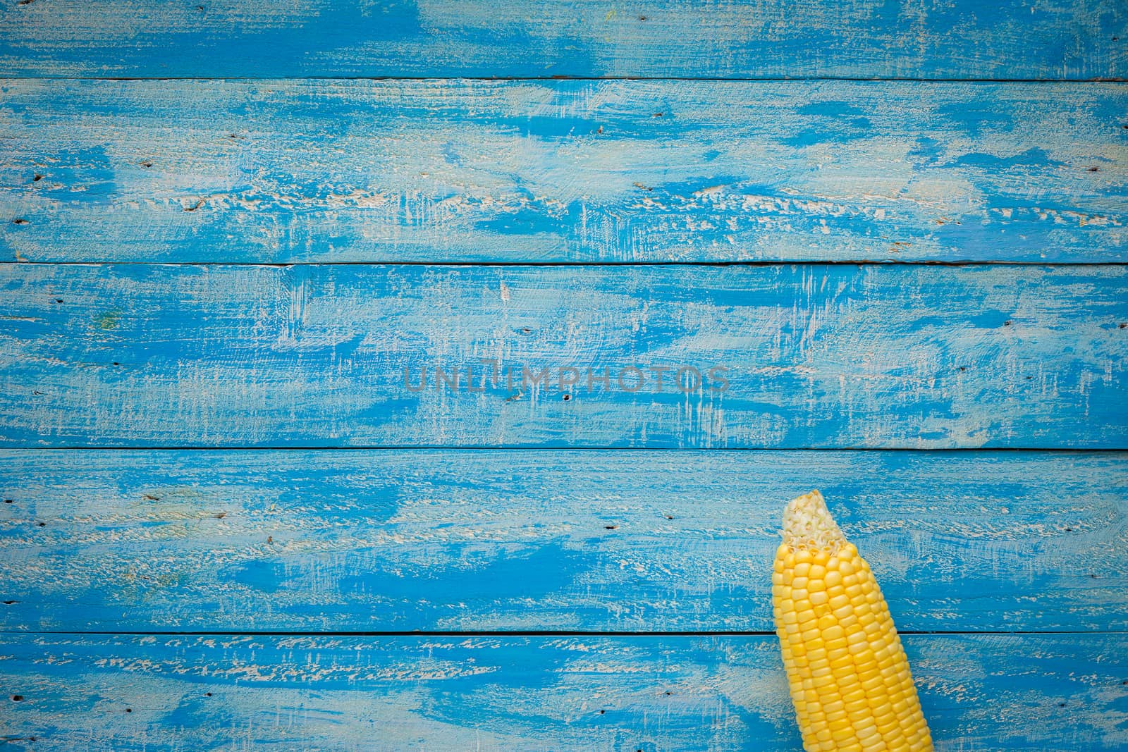 Ripe Corn on a blue wooden table top view.