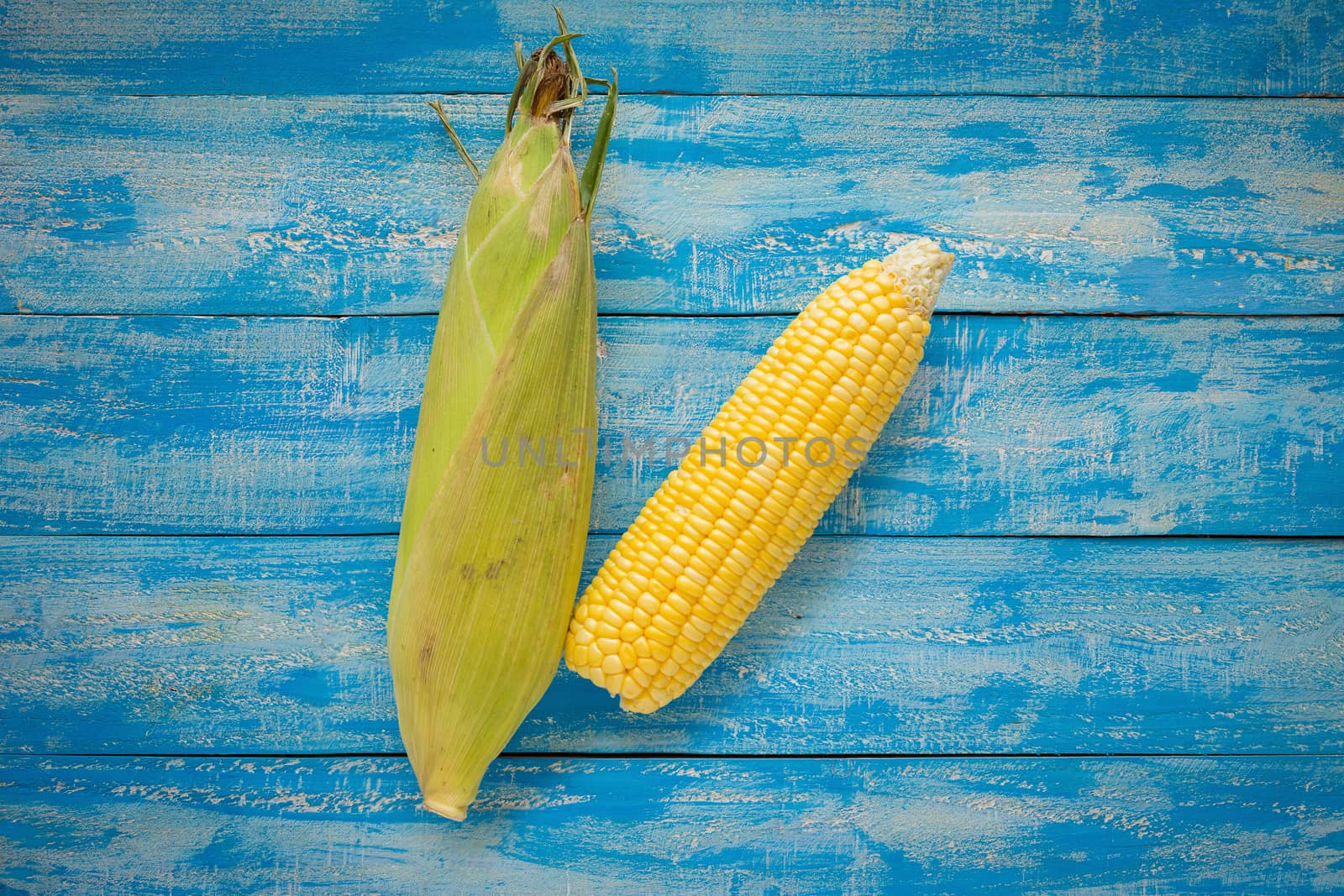 Ripe Corn on a blue wooden table top view.