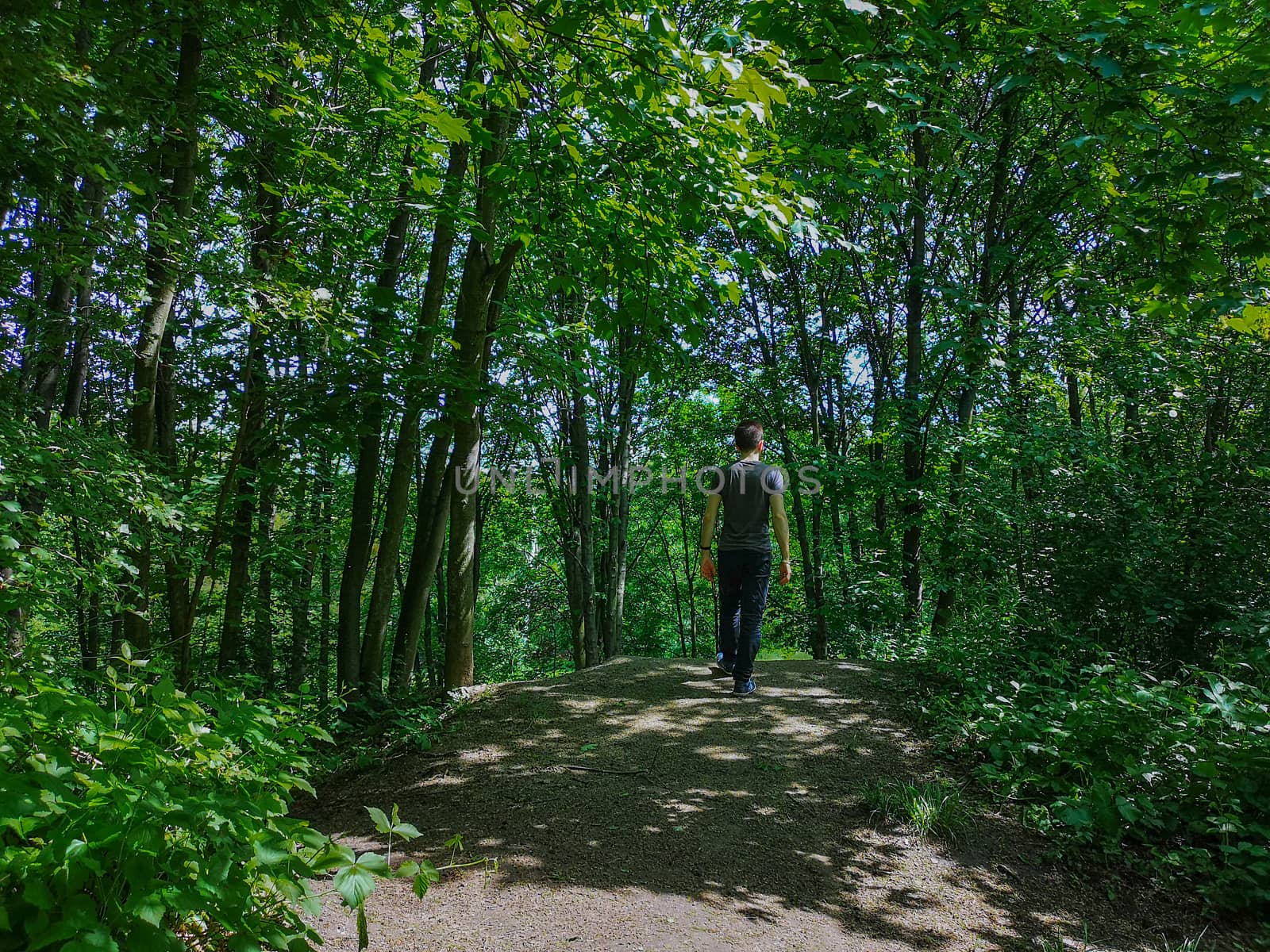 Man in t-shirt at edge of hill in park with thin trees by Wierzchu