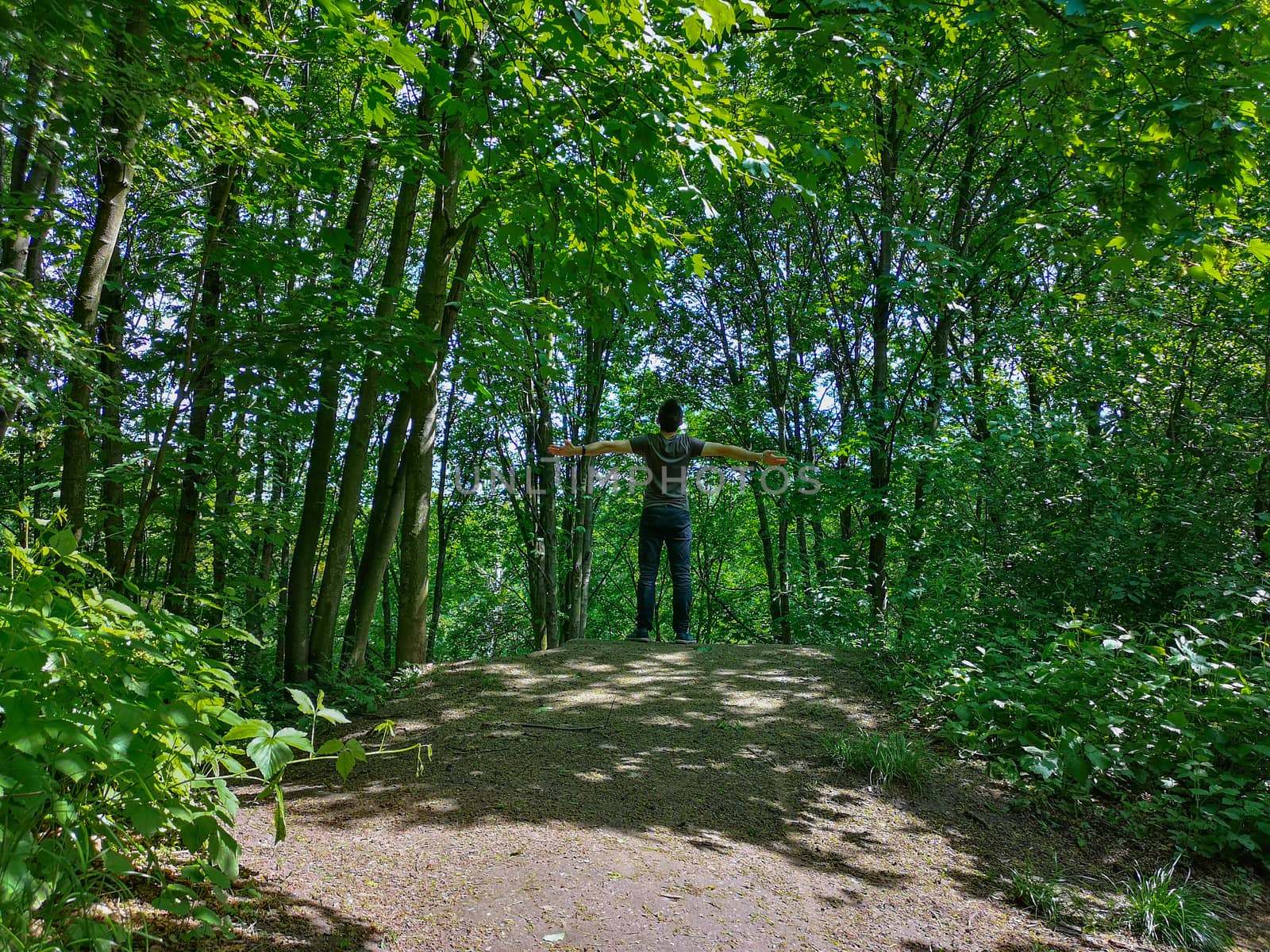 Man in t-shirt at edge of hill in park with thin trees