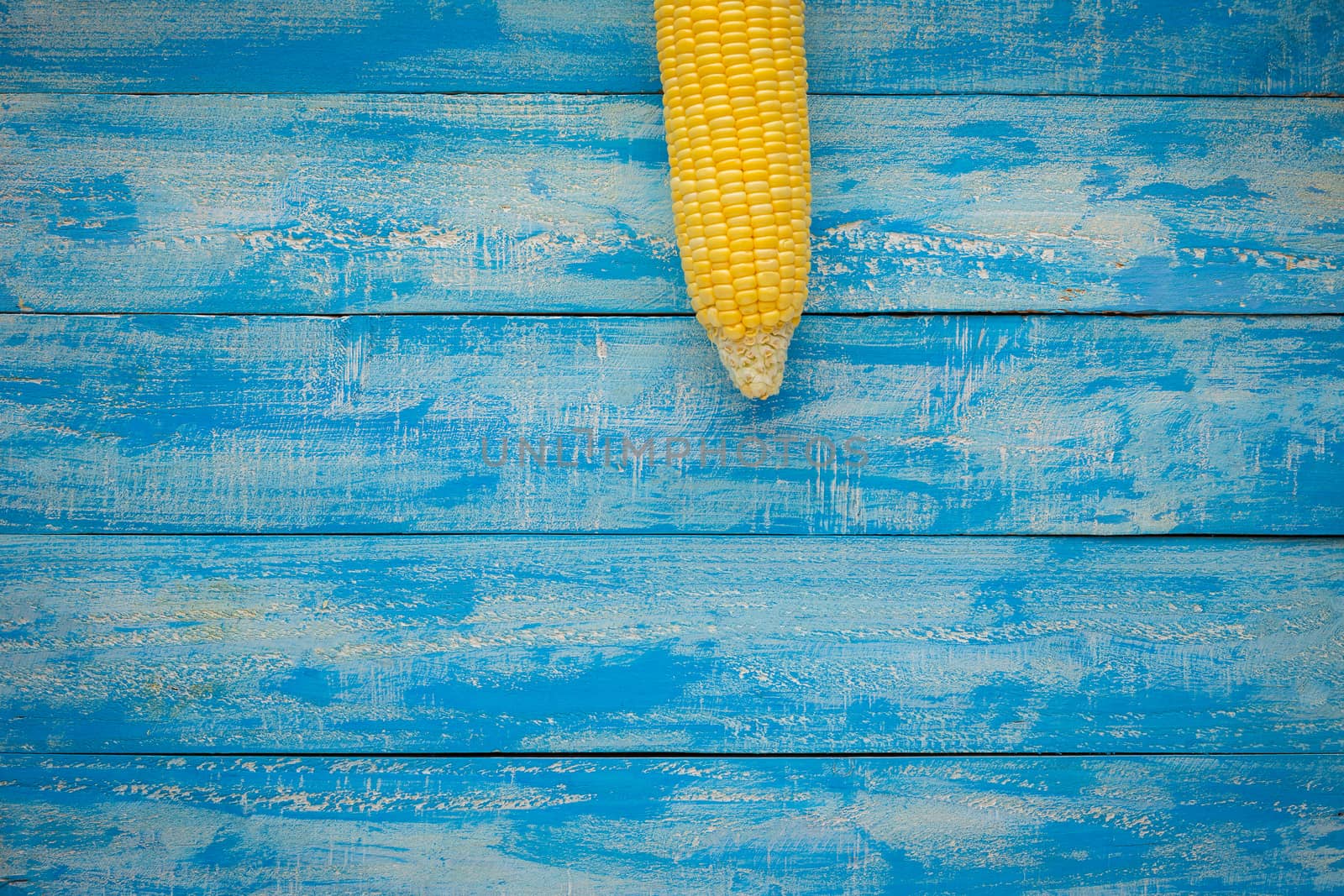 Ripe Corn on a blue wooden table top view.