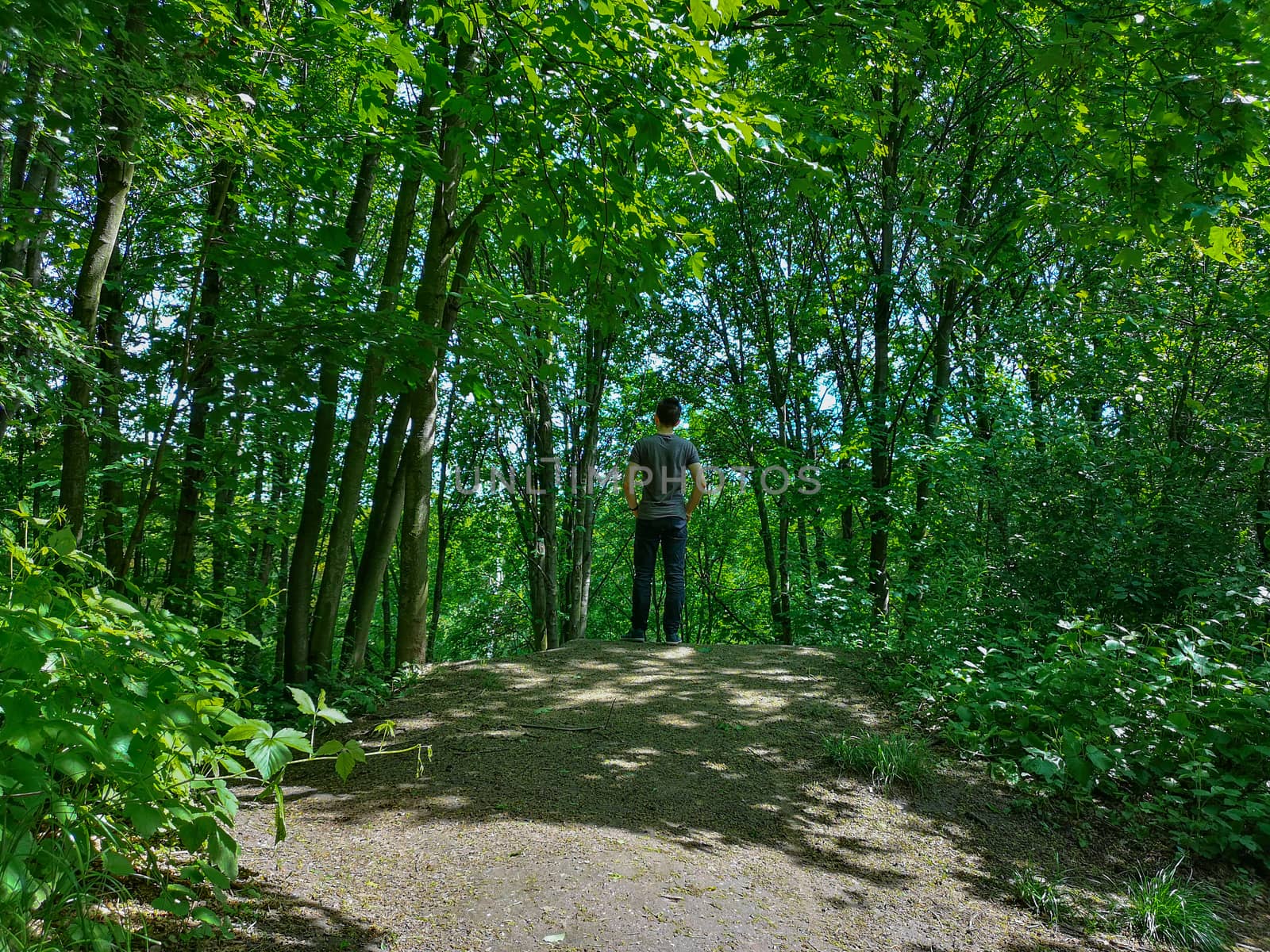 Man in t-shirt at edge of hill in park with thin trees by Wierzchu