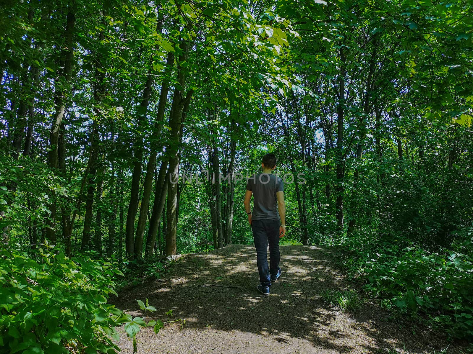 Man in t-shirt at edge of hill in park with thin trees by Wierzchu