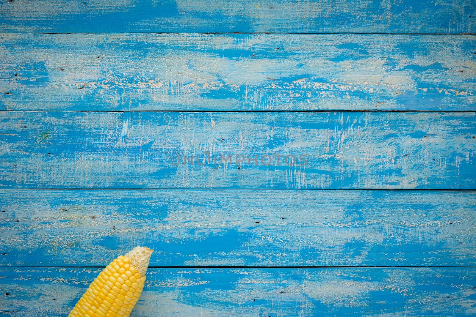 Ripe Corn on a blue wooden table top view by kaiskynet