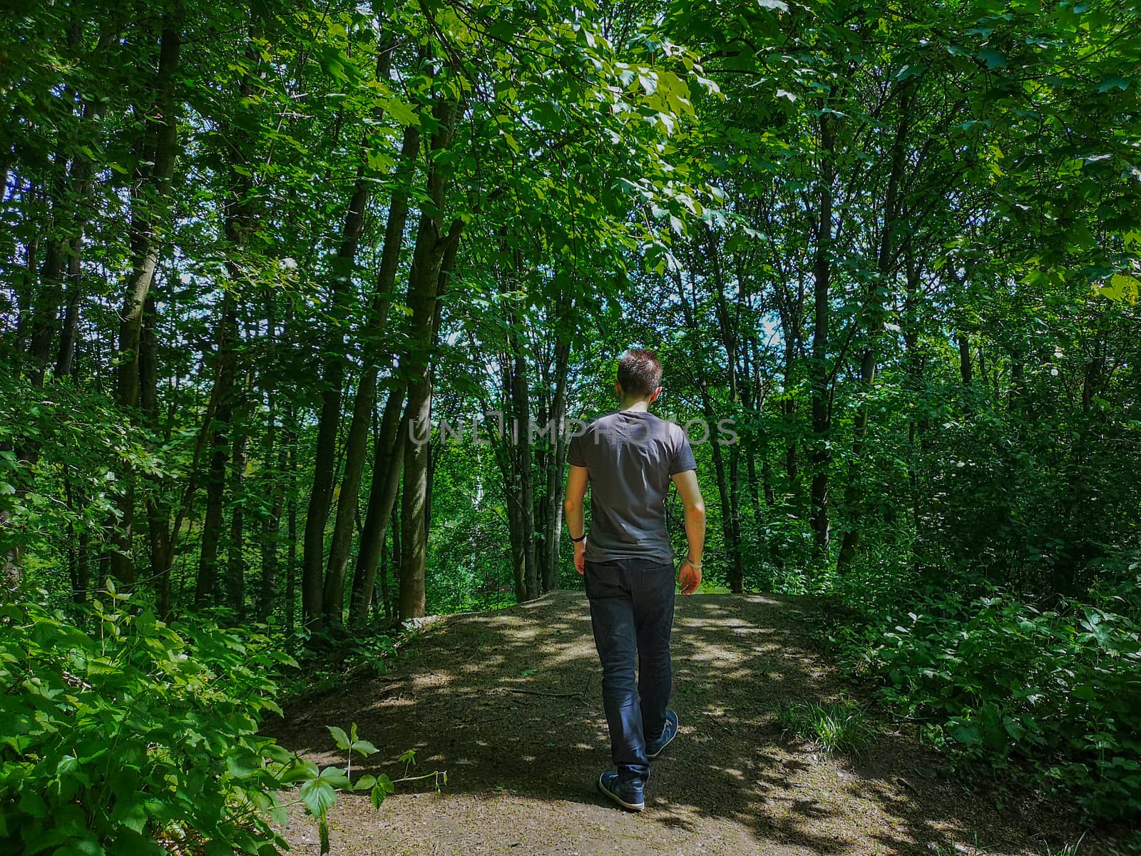 Man in t-shirt at edge of hill in park with thin trees