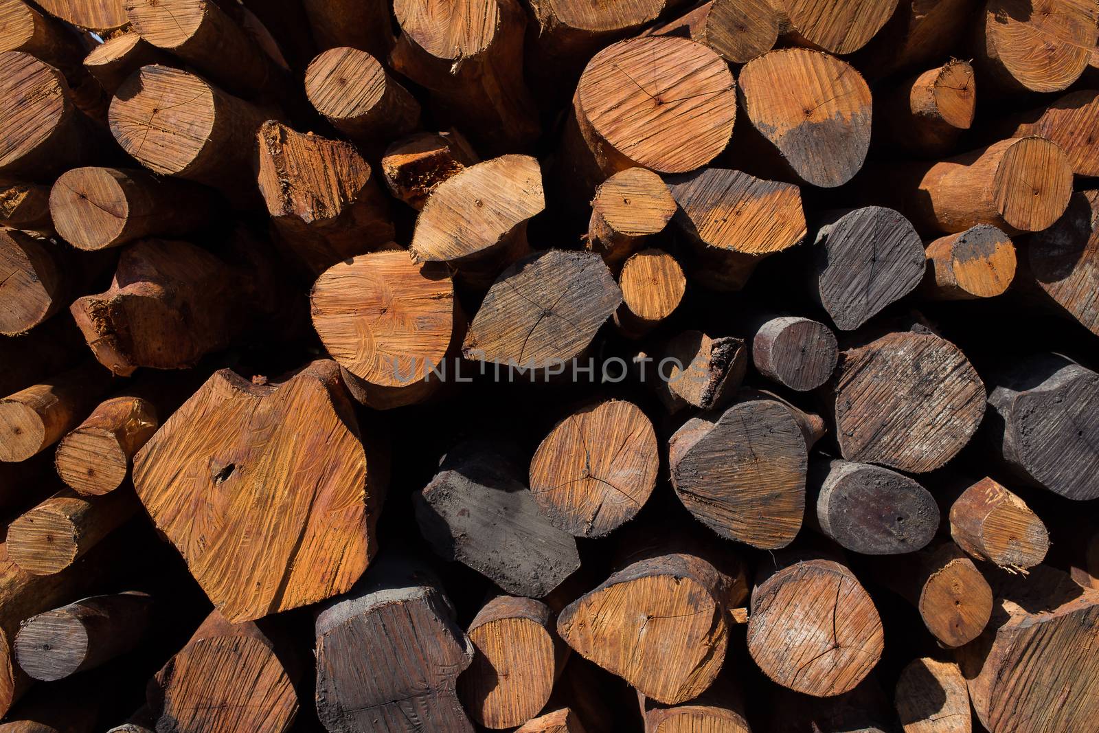 Firewood stacked and prepared for winter Pile of wood logs by kaiskynet