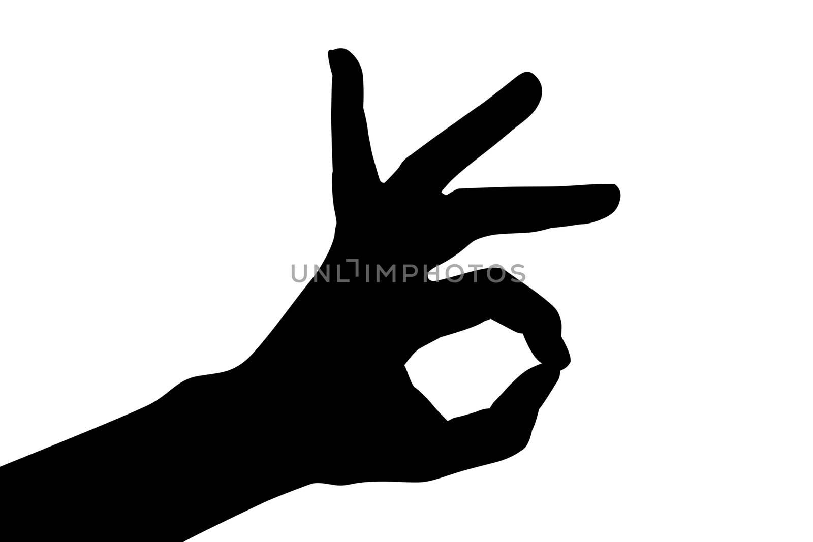 black shadow of finger hand symbols isolated the concept hand gesturing sign ok okay agree on white background.