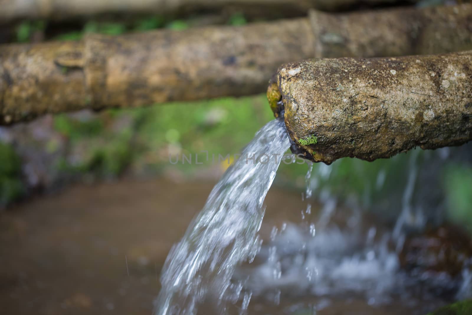 Natural water is flowing from bamboo pipe for agriculture.
